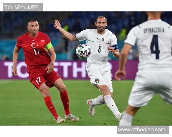 瑞典队与保加利亚队世预赛精彩对决回顾与分析