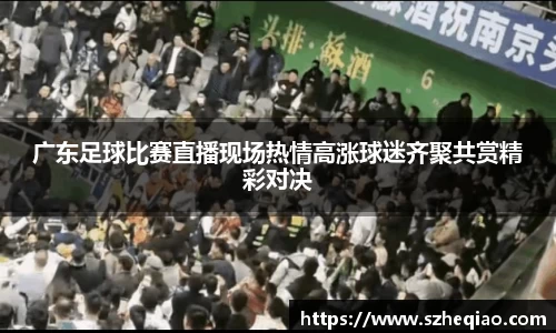 广东足球比赛直播现场热情高涨球迷齐聚共赏精彩对决