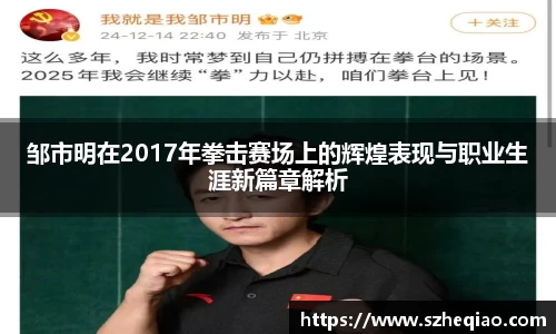邹市明在2017年拳击赛场上的辉煌表现与职业生涯新篇章解析